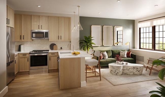 a kitchen with a large island and a spacious naturally-lit living area