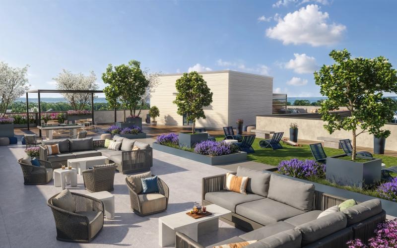 a spacious rooftop lounge space with trees and landscaping